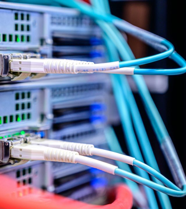 Detailed shot of Ethernet cables connected to server ports highlighting technology infrastructure.